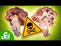 Mushroom Toxicity and Identification