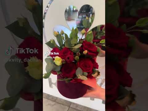 #квіти #дача #славута