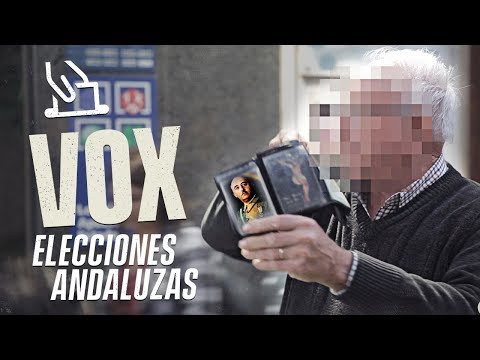 VOX y su Programa Electoral