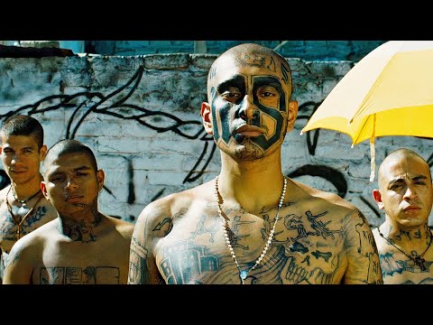 Бывший член банды "MS-13" пытается ВЫЖИТЬ в Мексике, после ликвидации главаря [краткий пересказ]