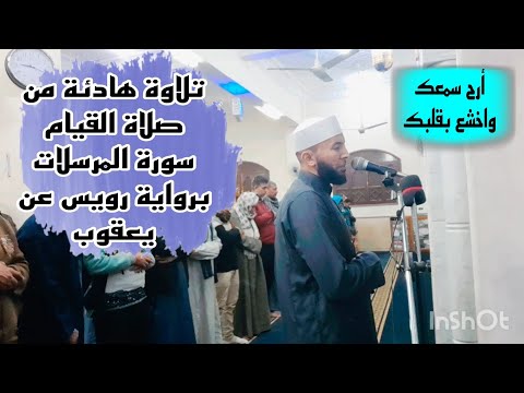 سيب اللي ف إيدك وحط سماعتك وعيش الآيات | سورة المرسلات برواية رويس عن يعقوب | محمد عبدالقادر