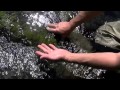 Environmental Management and Water Quality