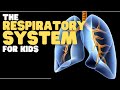 Exploring the Respiratory System for Kids