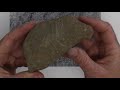 Sedimentary Rocks Identification and Characteristics