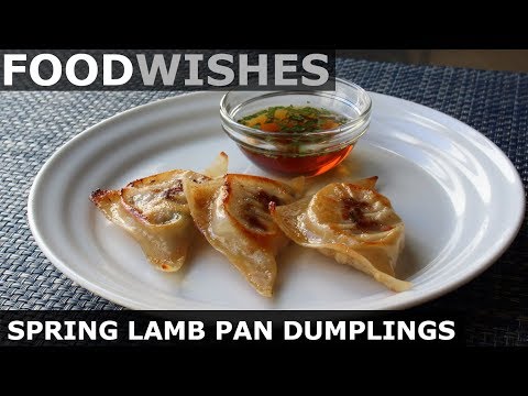 Spring Lamb Pan-Fried Dumplings - Food Wishes