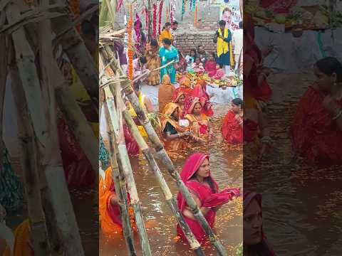 chhath Puja Coming Soon 🌼🌺🌿 #youtubeshorts #shortfeed #chhathpuja #chhath2025 #chhathgeet #praja #4k