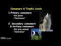 Ecosystem Relationships and Energy Flow