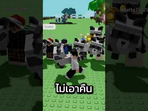 แร็คคูนพี่เยอะ🤣 #growagarden #nhamnoys #roblox