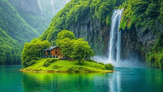Расслабляющая фортепианная музыка со звуками природы 🌿 Музыка для снятия стресса и глубокого сна