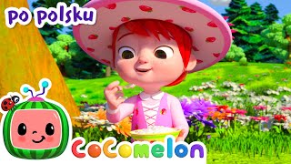 Panienka Ania | CoComelon po polsku 🍉🎶 Piosenki dla dzieci