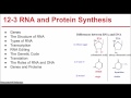 Genetic Code and Mutations