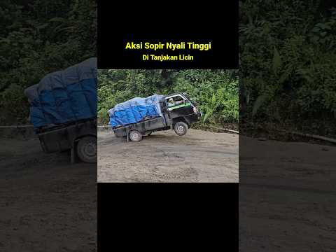 Aksi Sopir Bernyali Tinggi