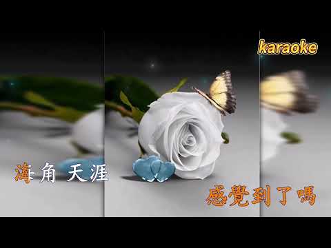 黃玫瑰-黃燦KaraokeKTV 伴奏 左伴右唱 karaoke 卡拉OK 伴唱 instrumental黃玫瑰-黃燦Karaoke