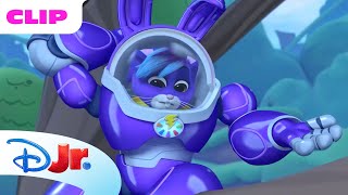 Robogobo | O Bebedouro Enregelado