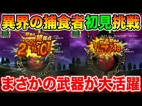 【ドラクエウォーク】持ってたけど全く使ってなかったあの武器が大活躍しました【DQW】