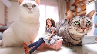 動画サムネイル