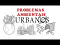Problemas Ambientais Urbanos
