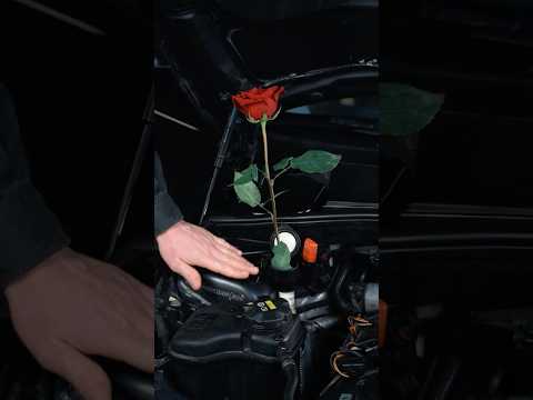 Na Valentýna dávám svému autu trochu lásky 💘