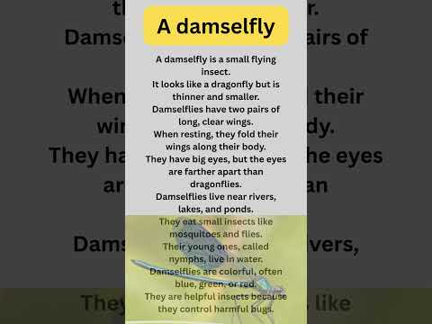 10 lines essay on Insect Damselfy in English/beautiful insect Damselfy k bary m 10 lines/essay damse