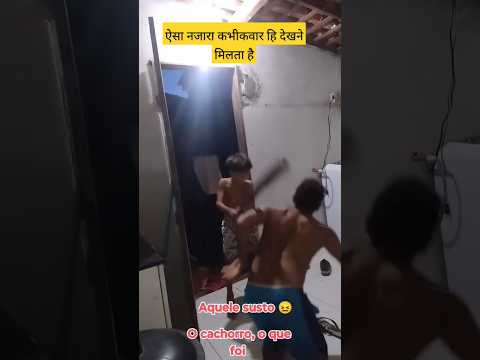 ऐसा नजारा कभी कवार हि देखने मारता है #shorts #funny #viral #youtubeshorts