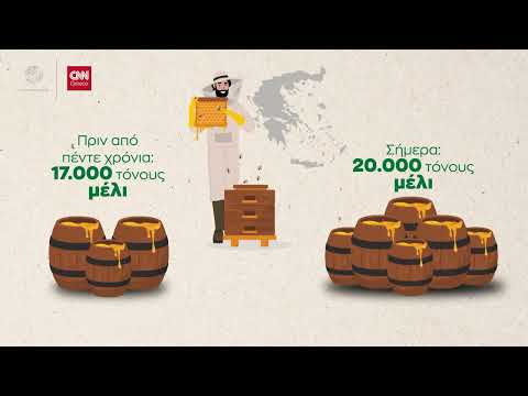 Explainer video: Το παράδοξο της αύξησης της παραγωγής μελιού εν μέσω κλιματικής κρίσης