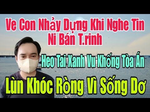 🟢 Ve Con nhảy dựng khi nghe tin Ni bán t.rinh, Heo Tai Xanh vu khống Toà Án,Lùn khóc ròng vì sống dơ