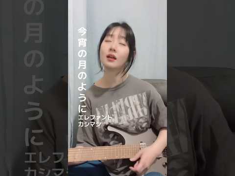 愛を探しにいこう#今宵の月のように #エレファントカシマシ #弾き語り #ギター #sin0 #しのさと