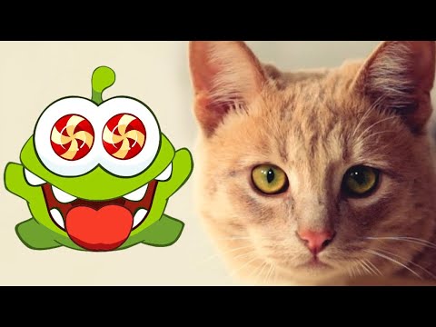 Om Nom stories - Om Nom y carrera de gatos | Dibujos animados divertidos para niños