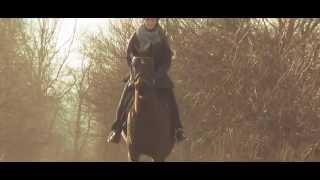 Bodenarbeit & Freiheitsdressur [Frühling 2015] Superhuman *HD*