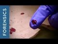 Forensic Analysis Quiz