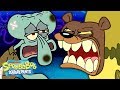 Understanding Sea Bears and Rhinoceroses