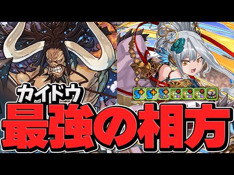 ★6フェス限に多色最強キャラ降臨！カイドウ×メイファンで裏零次元攻略！【パズドラ】