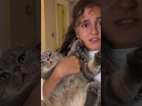 Gel tepeme koy aslı yaren #shortvideo