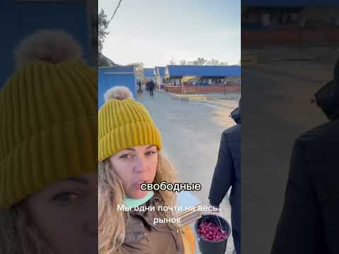 Торгуем огурцами в декабре! Разберут урожай? #жизньзагородом #урожай #огород #огурцы