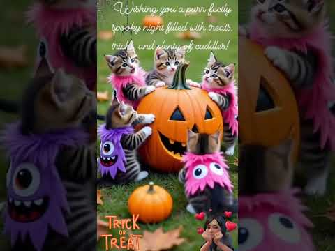 Happy Halloween #halloween #spookysaturday #spookymonth #spookyseason #spookysunday #spooky #cats