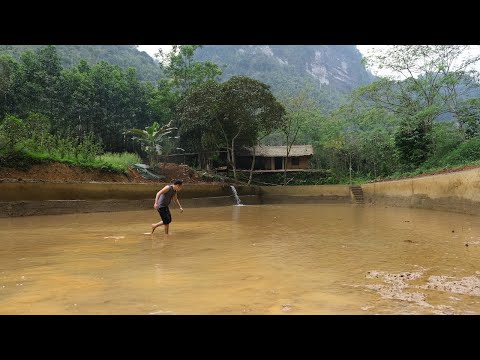 How did primitive skill produce millions of fry? It's incredible (here is the whole process) Ep.161