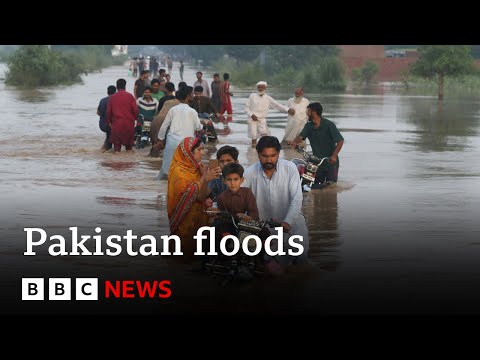 Thousands evacuated as 'exceptionally high' flooding devastates parts of Pakistan | BBC News