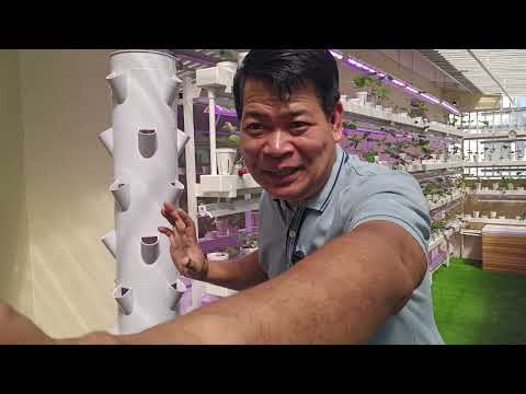 Indoor Vertical Hydroponics Tower