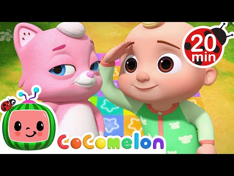 Animal Dance | CoComelon, Sing Along Songs for Kids