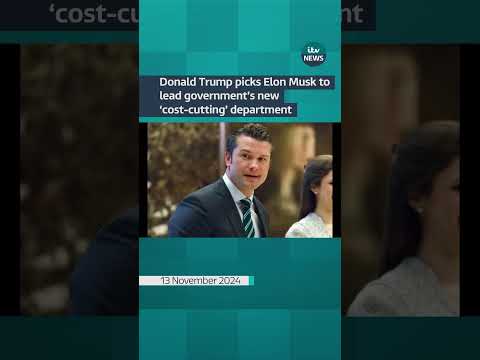 Donald Trump picks Elon Musk to lead government's new 'cost-cutting' department