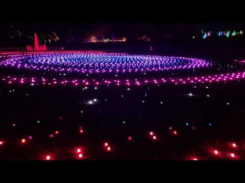 chicago botanic garden lightscape coupon chicago botanic garden lightscape coupon