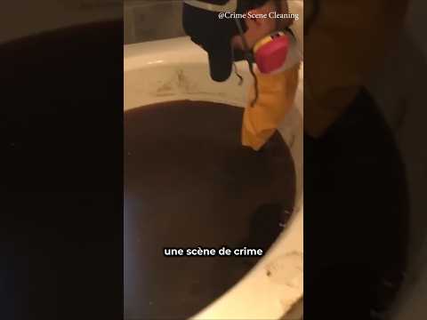 Combien ça coûte de NETTOYER une scène de CRIME sur le DARKWEB ?
