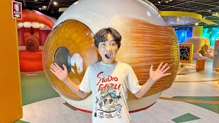 Children Science Museum Learn about Body for Kids Educational Video