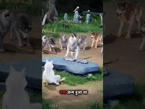 भेड़िया की तीन बच्चे जन्मे #trendingshorts
