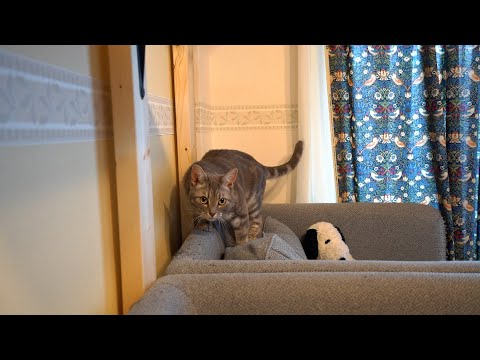 なにか企んでるだろ