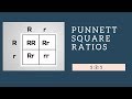 Decoding Genotypic and Phenotypic Ratios in Punnett Squares