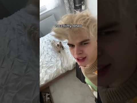 kupiłem SCHODY dla MOJEGO PSA 🥵