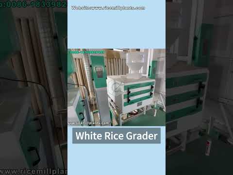 Rice Grader | Rice Processing Machine in Rice Mill Plant #ricegrader #ricegradingmachine