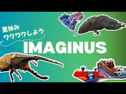 夏休み　IMAGINUSでワクワクしよう【令和7年8月1日号】すぎなみスタイル