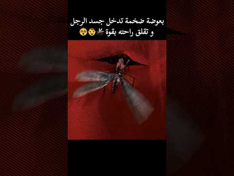 بعوضة ضخمة تدخل جسد الرجل و تقلق راحته بقوة 🦟👨😵 #shorts